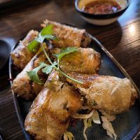 Sajgonki at Metta Vegan in Warsaw