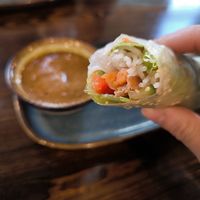 Spring Rolls at Metta Vegan in Warsaw