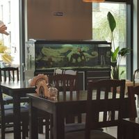 Can you have "Vegan" in the name and have fishes in a tank? at Metta Vegan in Warsaw