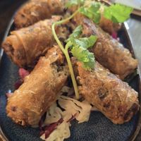 Vegan Friend Spring Rolls at Metta Vegan in Warsaw
