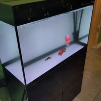  at Metta Vegan in Warsaw