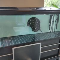  at Metta Vegan in Warsaw