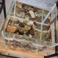  at Metta Vegan in Warsaw