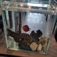  at Metta Vegan in Warsaw