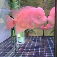  at Metta Vegan in Warsaw