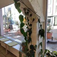  at Intense Coffee - Bonnevoie in Luxembourg City