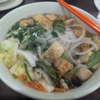 Pho Chay with tofu, steamed napa cabbage, carrots, and mushrooms at Pho Saigon  in Fredericksburg