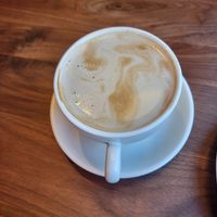 Iced Oat Shakerado (Hot instead) at True Food Kitchen in Raleigh