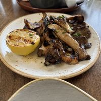 Mushrooms   at Granville in Studio City