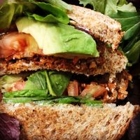 Spicy BLT at LAX - Real Food Daily - T4 in Los Angeles