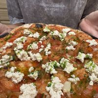   at Domo in Barcelona