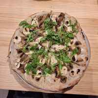  at Domo in Barcelona