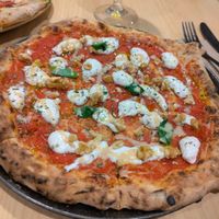  at Domo in Barcelona