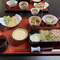 Only choice but so good! at Takao-san Yakuo-in in Hachioji