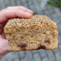  at The Seed in Utrecht