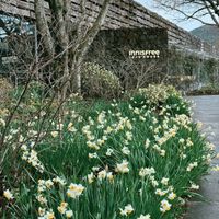   at Osulloc Tea Museum in Jeju
