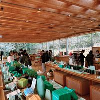   at Osulloc Tea Museum in Jeju