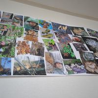  at Cheongjeonggol Restaurant - 청정골식당   in Inje-gun