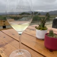   at Monte Xanic in Valle De Guadalupe