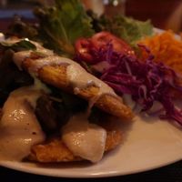 Omelette dinner with salad at Rango Vegan in Salvador