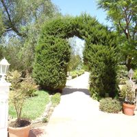 Beautiful garden! at Centro Cultural Hare Krishna in Malaga