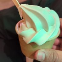  at Green Farmer's in Amsterdam