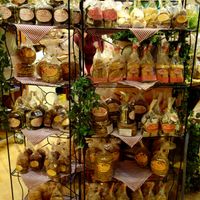 Lebe Gesund at Lebe Gesund in Mannheim