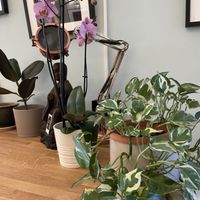   at Spiral in Innsbruck