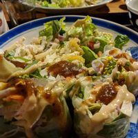 Fresh spring rolls in foreground and "humberg" steak in background. at Organic House Salute in Kyoto