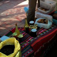 From Margot: pastries (empanadas), cookies, marmalade, fruit puddings (recommended!), and more.  at Bioferia in Mendoza