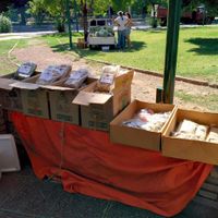 From Jorge: handmade pasta, seeds, spices mix, flours (enhanced with dry vegs), tea leaves (from native plants), and more. at Bioferia in Mendoza