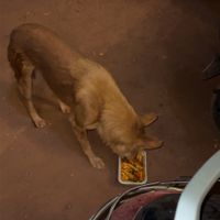   at La Cucina in Morjim