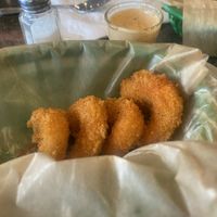 Buffalo wangz   at Bombay Food Junkies in St Louis