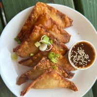 Lions Mane Krab Rangoon Wantons at Bombay Food Junkies in St Louis