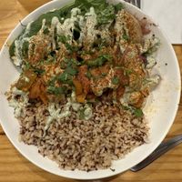 Day 1  at Bombay Food Junkies in St Louis