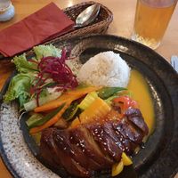 Vegan duck on rice mango and vegetables at Dream Vegan in Berlin