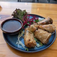 Excellent spring rolls! at Dream Vegan in Berlin