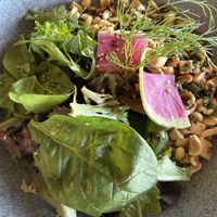   at Organi-K in San Jose Del Cabo
