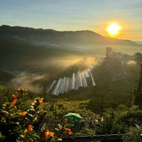  at Dalat Harmony Garden in Da Lat