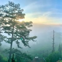  at Dalat Harmony Garden in Da Lat