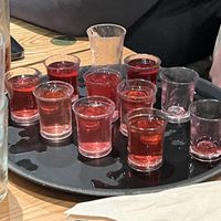 Vegan shots   at The Gatekeeper - JD Wetherspoons in Cardiff