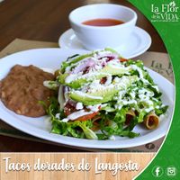  at La Flor De La Vida in Tijuana