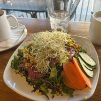  #Veganuary at Stir Coffee & Cocktails Downtown in Colorado Springs