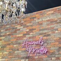 Salmon croissant and breakfast sausage croissant   at AM Cafe in Vancouver