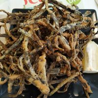 A at Sol Veggie in Logrono