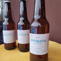  at Oryza Om Tempeh in Brisas De Zicatela