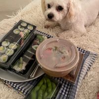 Edamame noodles and sushi platter at Boba Tigers in Rochester