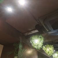 Interior at Ko-So Cafe in Tokyo