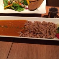 Curry at Ko-So Cafe in Tokyo