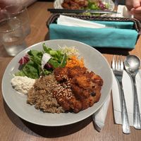 Tasty soy meat with brown rice and salad   at Ko-So Cafe in Tokyo